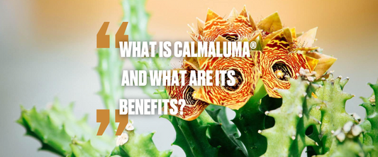 Calmaluma®: The Ultimate Calming Supplement for a Stress-Free Life